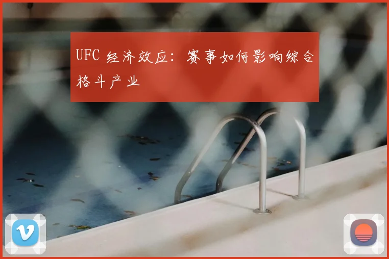 UFC 经济效应：赛事如何影响综合格斗产业