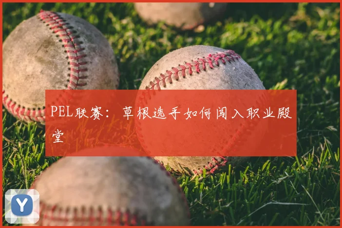 PEL联赛：草根选手如何闯入职业殿堂