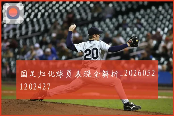 国足归化球员表现全解析_20260521202427