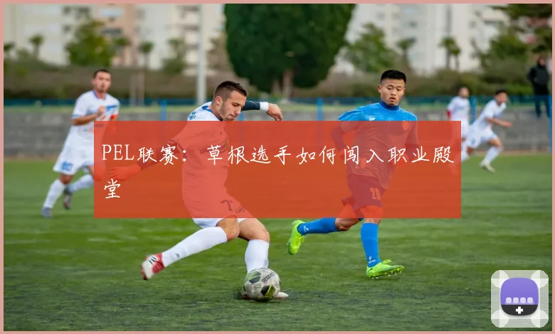 PEL联赛：草根选手如何闯入职业殿堂