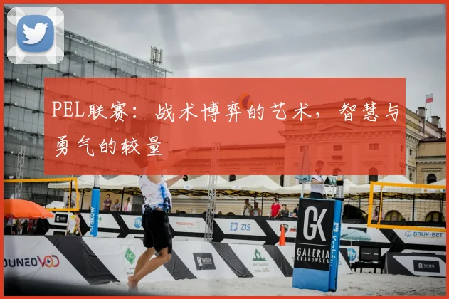 PEL联赛：战术博弈的艺术，智慧与勇气的较量
