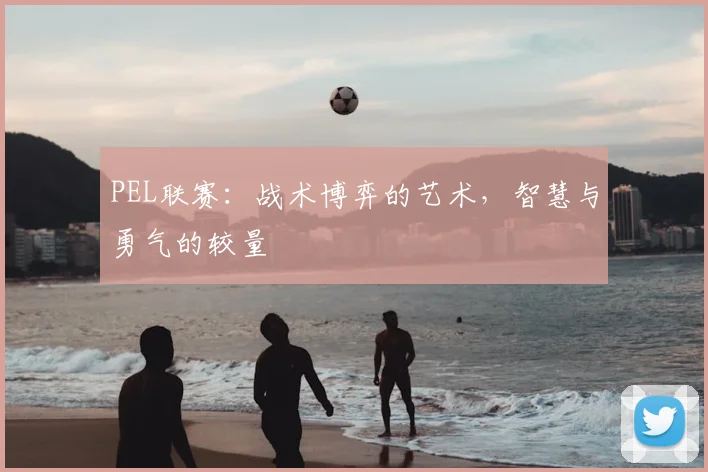 PEL联赛：战术博弈的艺术，智慧与勇气的较量